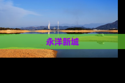 永洋新城
