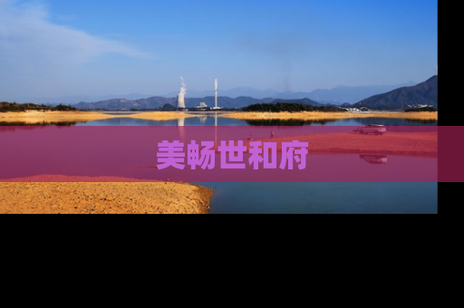 美畅世和府