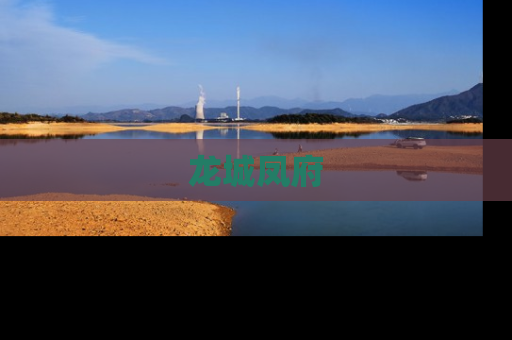 龙城凤府