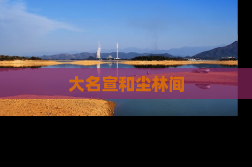 大名宣和尘林间