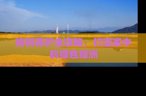 榕树养护全攻略，打造家中的绿色绿洲