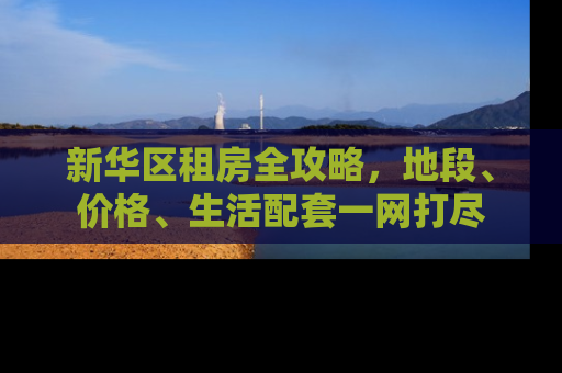 新华区租房全攻略，地段、价格、生活配套一网打尽