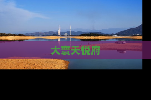 大寰天悦府