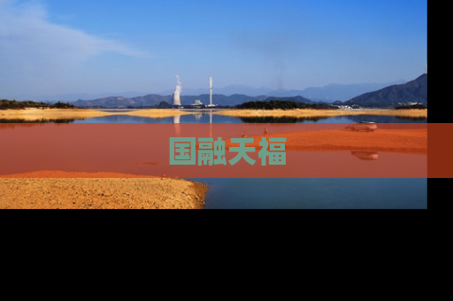 国融天福