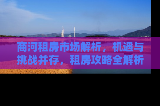 商河租房市场解析，机遇与挑战并存，租房攻略全解析
