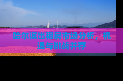 哈尔滨出租房市场分析，机遇与挑战并存