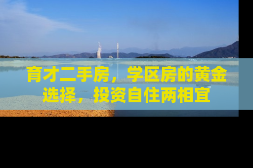 育才二手房，学区房的黄金选择，投资自住两相宜