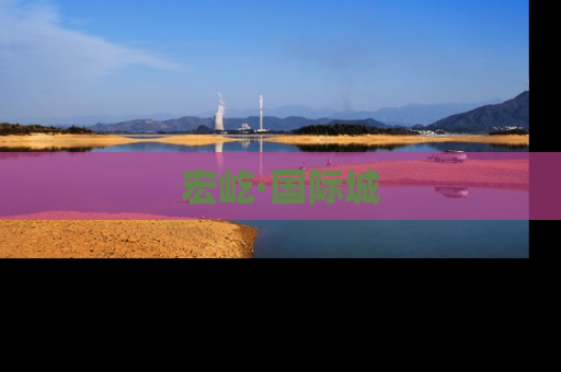 宏屹·国际城