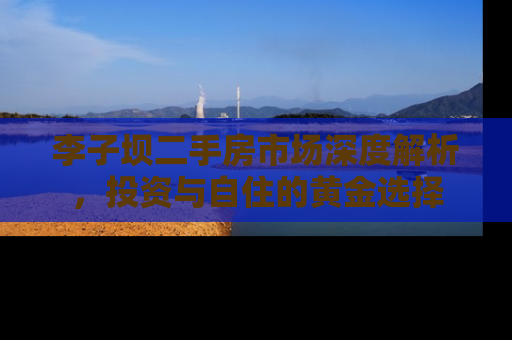 李子坝二手房市场深度解析，投资与自住的黄金选择