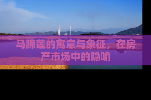 马蹄莲的寓意与象征，在房产市场中的隐喻