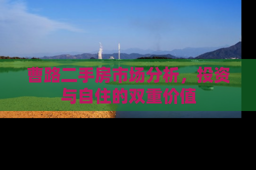 曹路二手房市场分析，投资与自住的双重价值