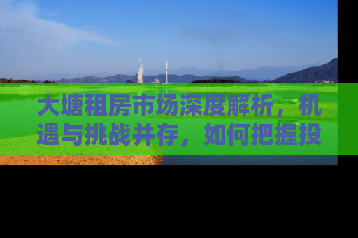 大塘租房市场深度解析，机遇与挑战并存，如何把握投资与居住的黄金平衡点