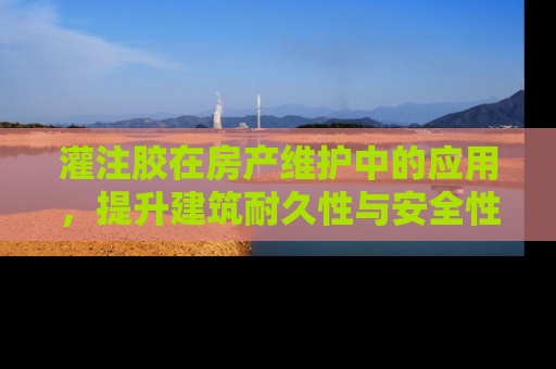 灌注胶在房产维护中的应用，提升建筑耐久性与安全性的关键技术