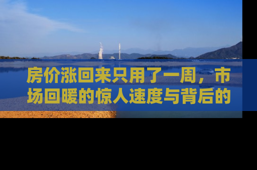 房价涨回来只用了一周，市场回暖的惊人速度与背后的原因