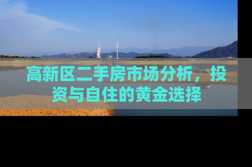 高新区二手房市场分析，投资与自住的黄金选择