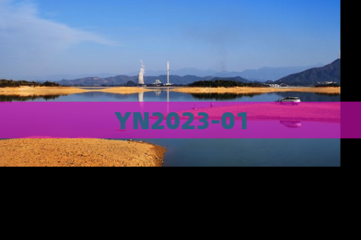 YN2023-01