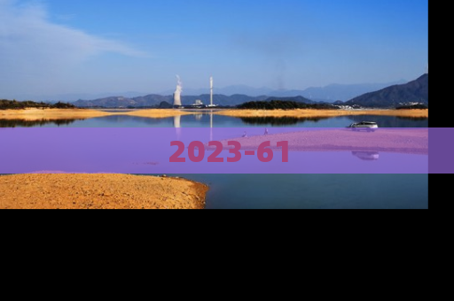 2023-61