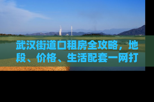 武汉街道口租房全攻略，地段、价格、生活配套一网打尽
