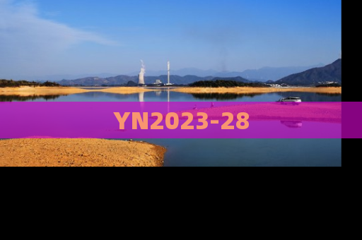 YN2023-28