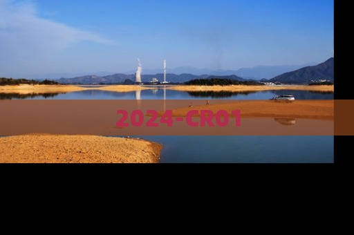 2024-CR01