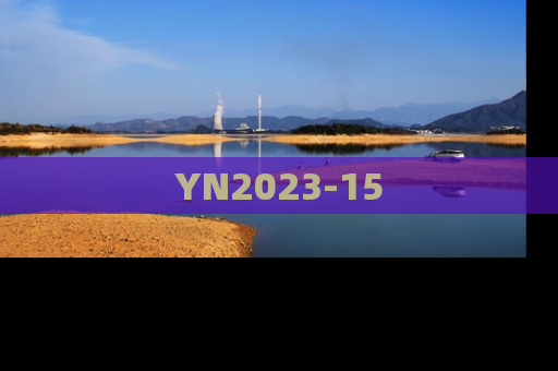 YN2023-15
