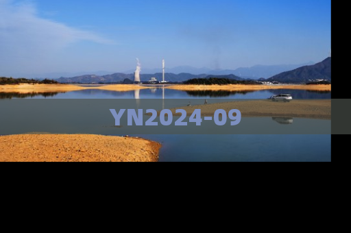 YN2024-09