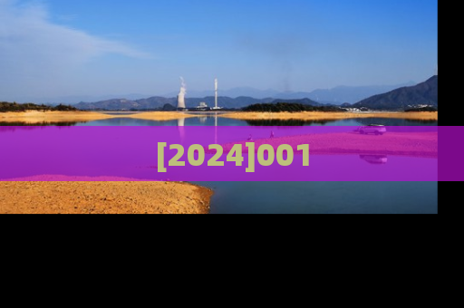 [2024]001