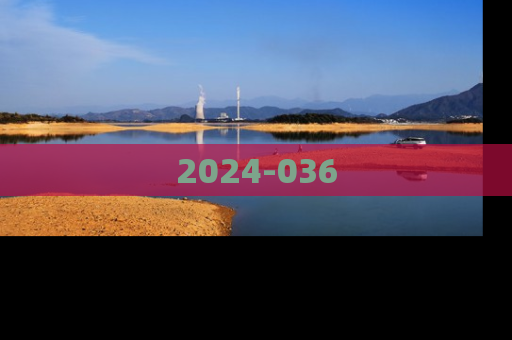 2024-036