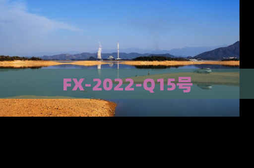 FX-2022-Q15号