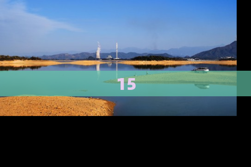 15