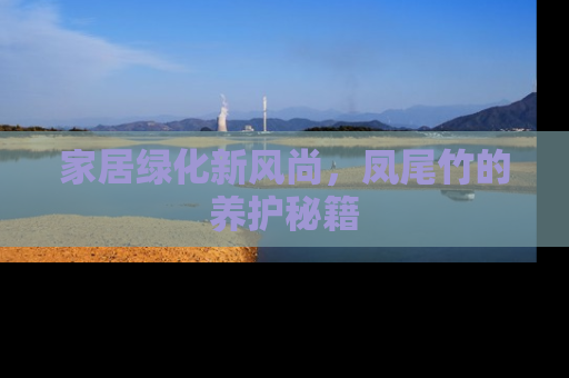 家居绿化新风尚，凤尾竹的养护秘籍