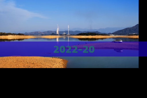 2022-20