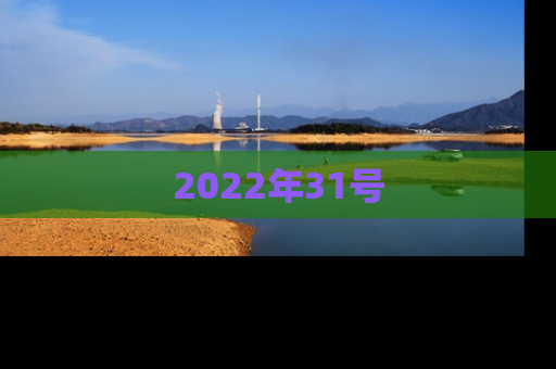 2022年31号