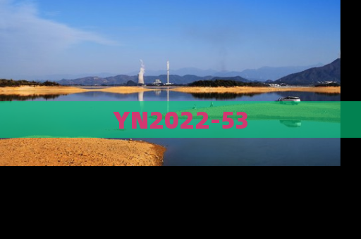 YN2022-53