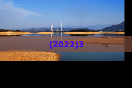 (2022)3
