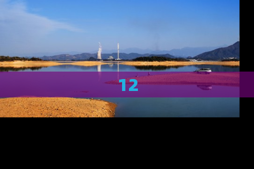 12