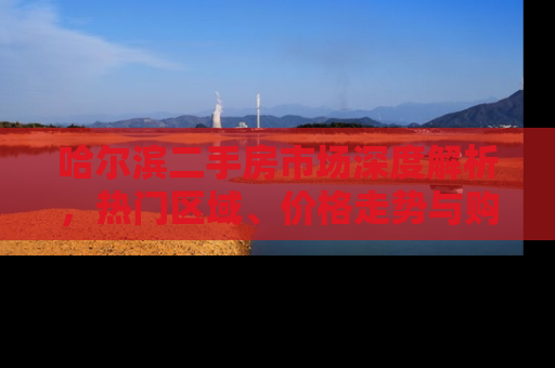 哈尔滨二手房市场深度解析，热门区域、价格走势与购房指南