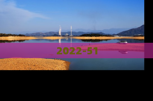 2022-51