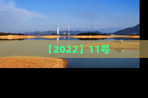 【2022】11号