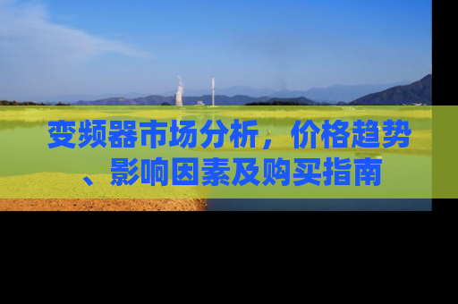 变频器市场分析，价格趋势、影响因素及购买指南