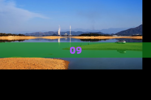 09