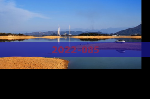 2022-085