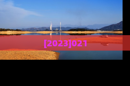 [2023]021