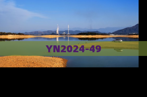 YN2024-49