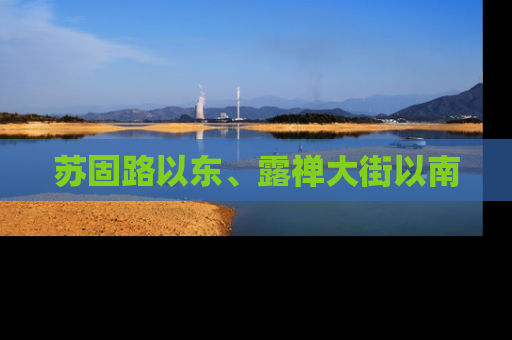 苏固路以东、露禅大街以南