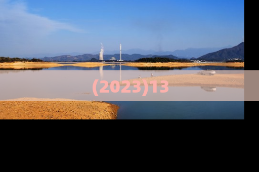 (2023)13