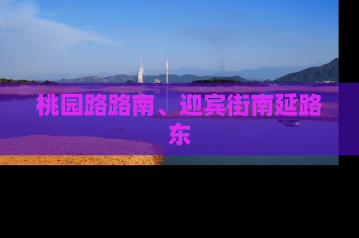 桃园路路南、迎宾街南延路东