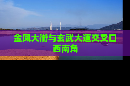 金凤大街与玄武大道交叉口西南角