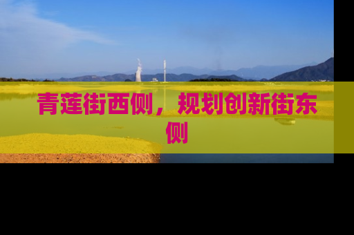 青莲街西侧，规划创新街东侧