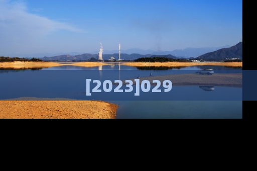 [2023]029